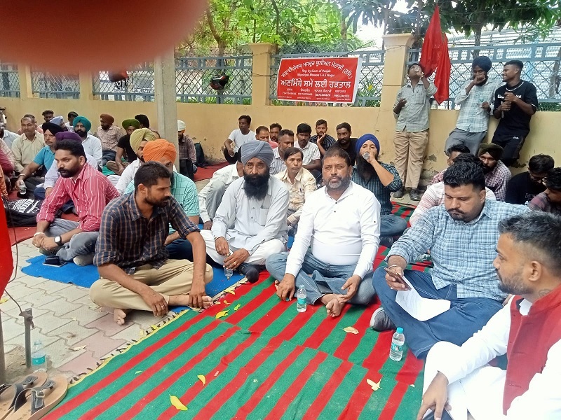 naidunia_image
